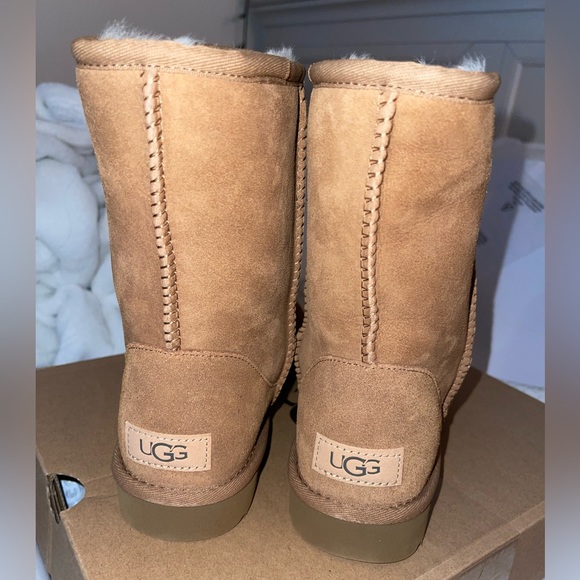Brand New Chestnut Uggs - Picture 5 of 8